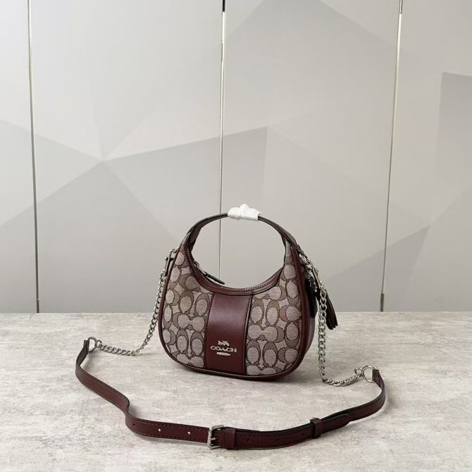 COACH Carmen Mini Chain Cross body crossbody bag brown