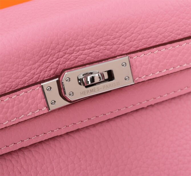 birkin 25 Silver buckle