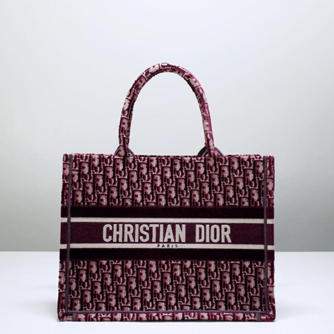 Dior Book Tote