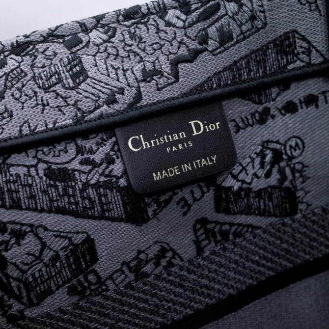 Dior Book Tote