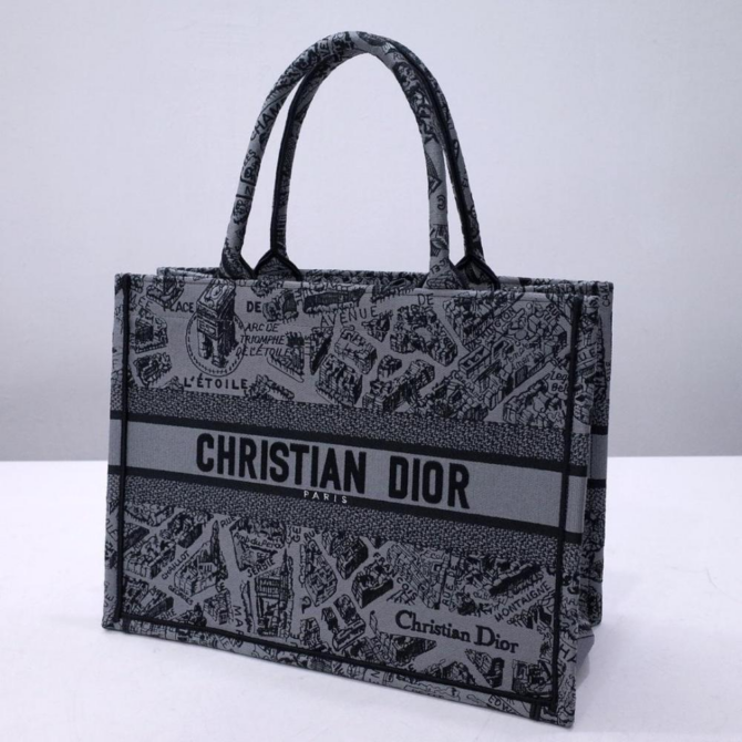 Dior Book Tote