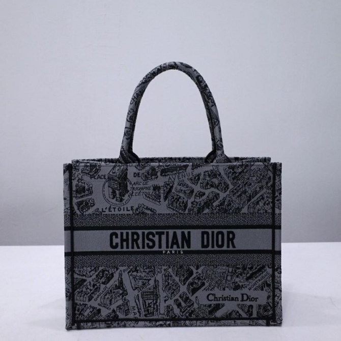 Dior Book Tote