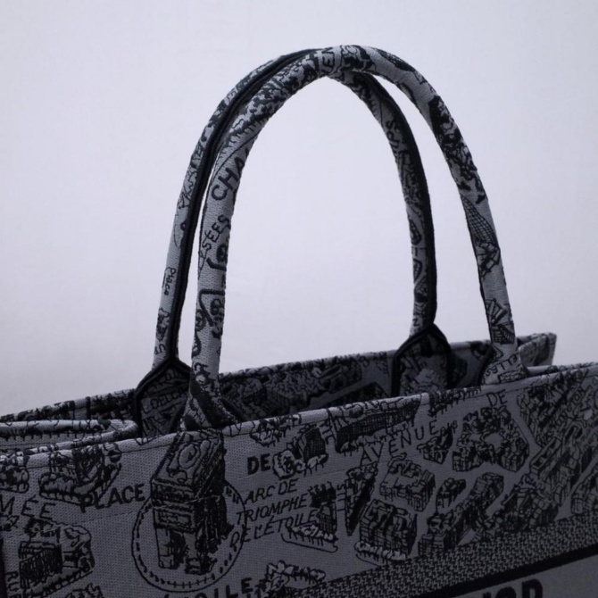 Dior Book Tote